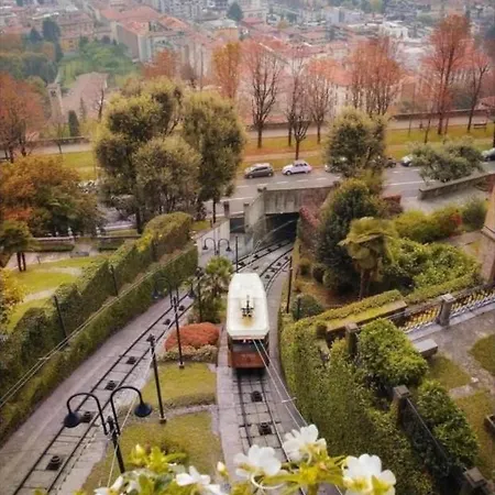 Smart Gold Elegant Style * 베르가모