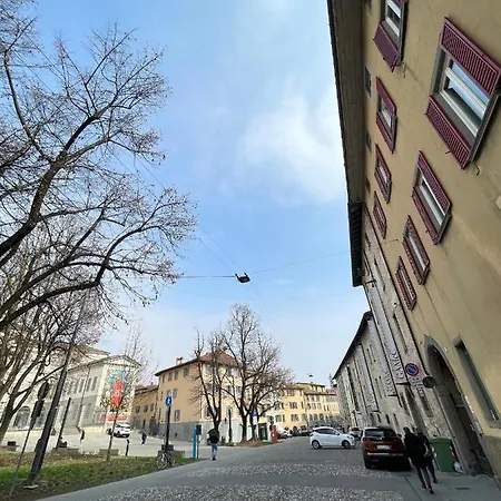 Smart Gold Elegant Style 아파트