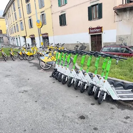 Smart Gold Elegant Style 아파트