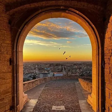 Smart Gold Elegant Style *