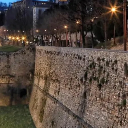 Smart Gold Elegant Style 베르가모