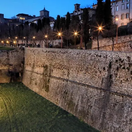 Smart Gold Elegant Style *